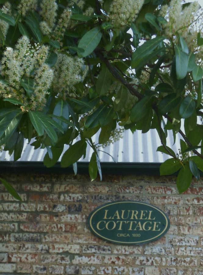 ריצ'מונד Laurel Cottage מראה חיצוני תמונה